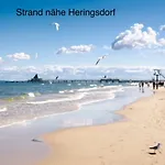 Dom wakacyjny Oogenstern Usedom -ruhige Lage-fischerdorf Hund Auf Anfrage Zirchow