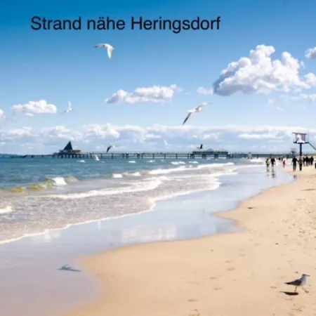 Holiday home Oogenstern Usedom -ruhige Lage-fischerdorf Zirchow